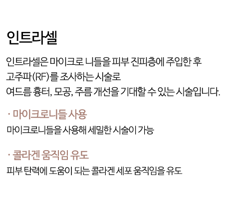 인트라셀
