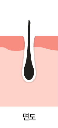 면도