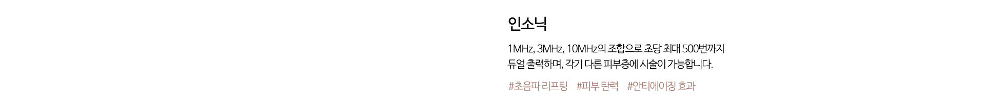인소닉초음파