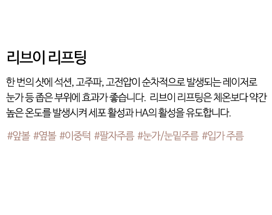리브이 리프팅
