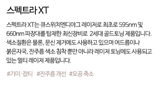 스펙트라XT