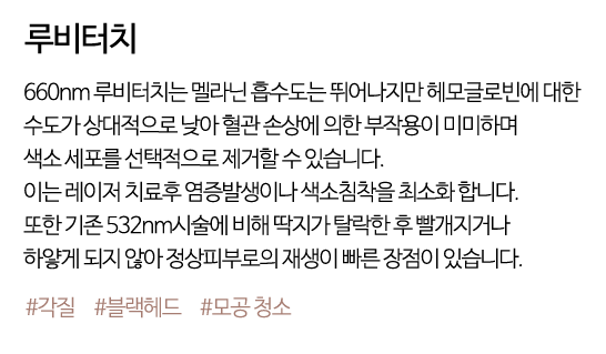 루미터치