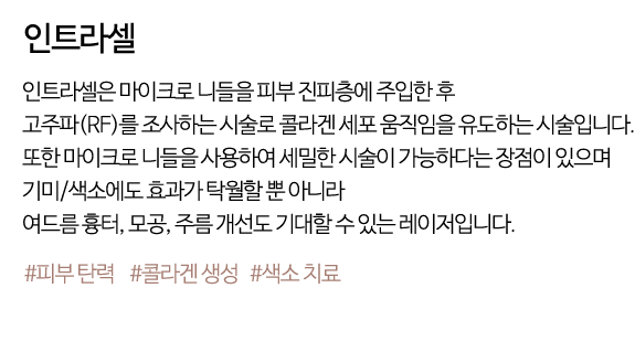인트라셀